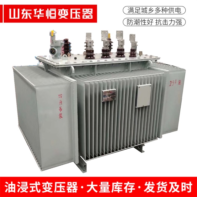 S13-10000/35嵊州嵊州嵊州电力变压器厂家