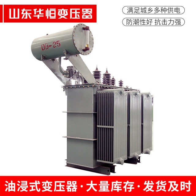 S11-10000/35嵊州嵊州嵊州电力变压器厂家